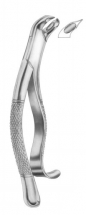  WOODWARD Fig. 335-FH lower molars 